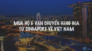 Mua hộ vận chuyển hàng từ Singapore về Việt Nam